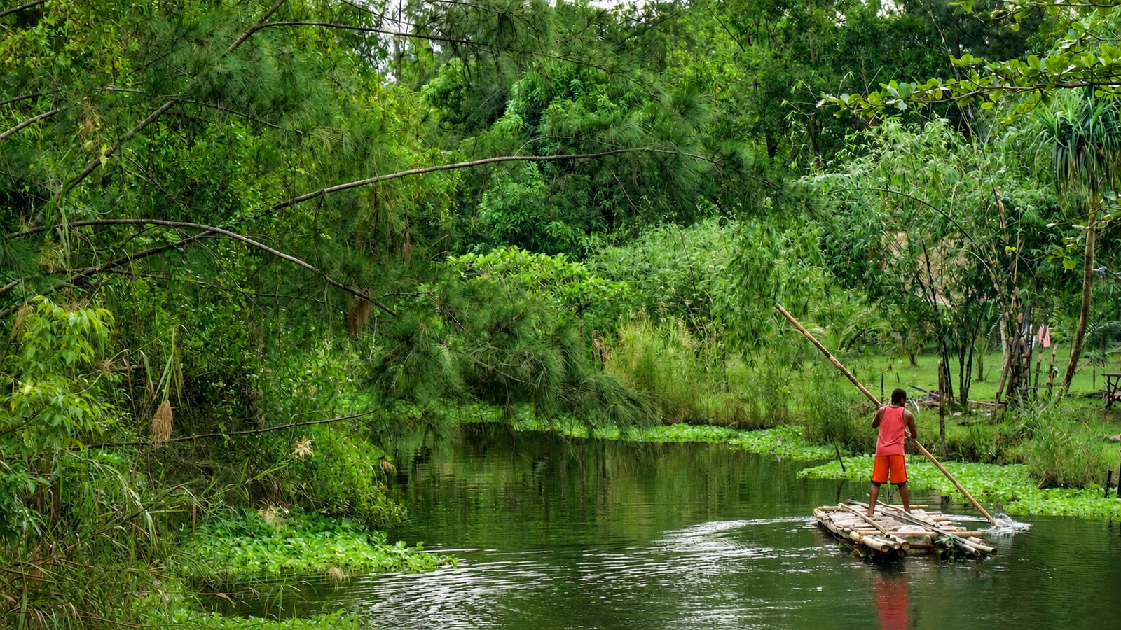 Un radeau en bambou remonte la rivière entre les berges végétalisées